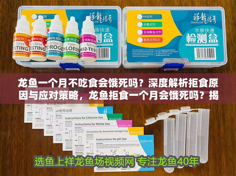 龍魚一個月不吃食會餓死嗎？深度解析拒食原因與應對策略，龍魚拒食一個月會餓死嗎？揭秘原因與拯救方法，龍魚拒食一個月會餓死嗎？全面解析原因與高效拯救方案