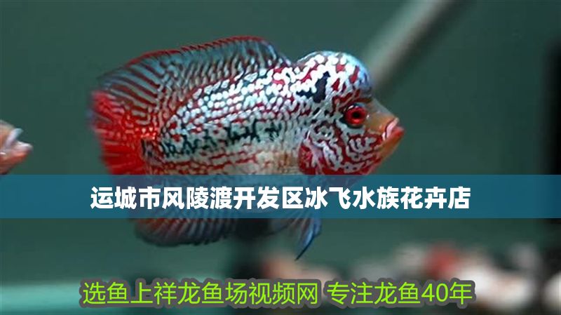 運城市風陵渡開發(fā)區(qū)冰飛水族花卉店 運城市風陵渡開發(fā)區(qū)冰飛水族花卉店 全國水族館企業(yè)名錄 第2張
