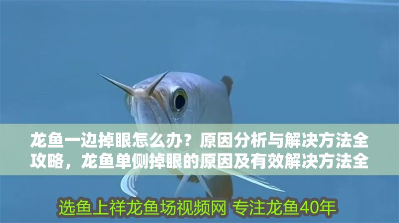 龍魚一邊掉眼怎么辦？原因分析與解決方法全攻略，龍魚單側(cè)掉眼的原因及有效解決方法全解析，龍魚單側(cè)掉眼原因與解決全攻略