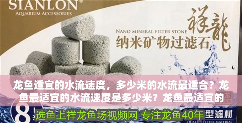 龍魚適宜的水流速度，多少米的水流最適合？龍魚最適宜的水流速度是多少米？龍魚最適宜的水流速度是多少米？ 龍魚適宜的水流速度，多少米的水流最適合？龍魚最適宜的水流速度是多少米？龍魚最適宜的水流速度是多少米？ 龍魚百科 第1張