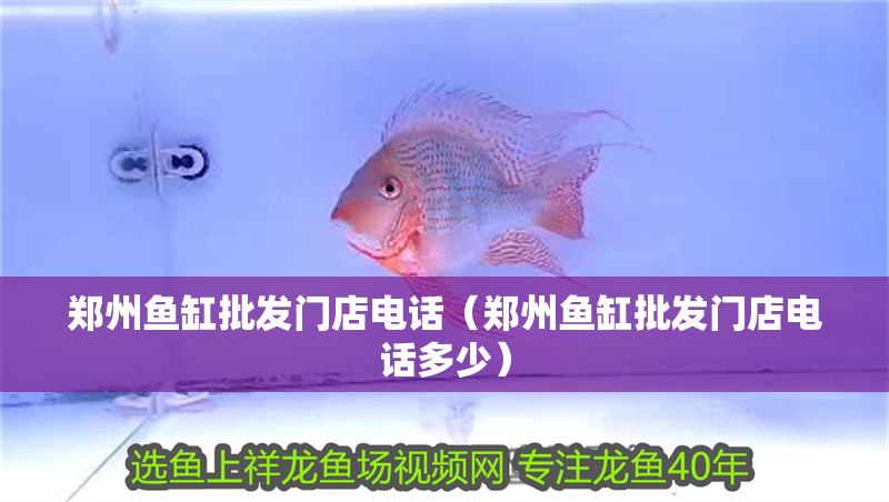 鄭州魚缸批發門店電話（鄭州魚缸批發門店電話多少）