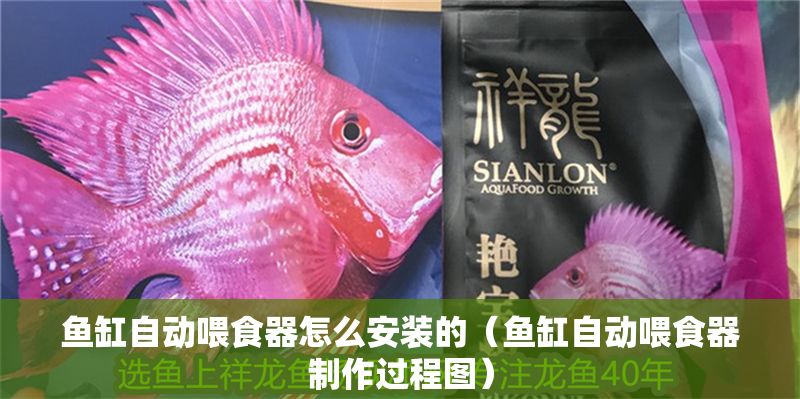 魚缸自動(dòng)喂食器怎么安裝的（魚缸自動(dòng)喂食器制作過程圖）