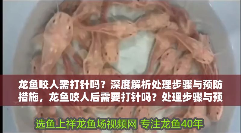 龍魚咬人需打針嗎？深度解析處理步驟與預防措施，龍魚咬人后需要打針嗎？處理步驟與預防措施全解析，龍魚咬人后的處理步驟與預防措施全解析