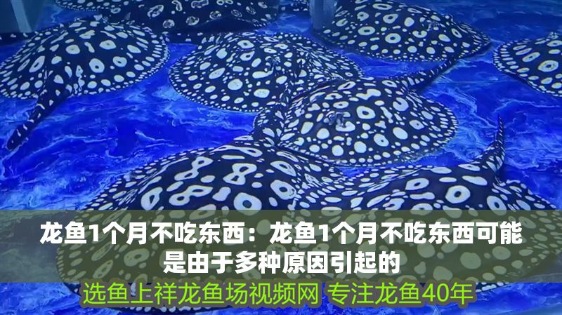 龍魚(yú)1個(gè)月不吃東西：龍魚(yú)1個(gè)月不吃東西可能是由于多種原因引起的