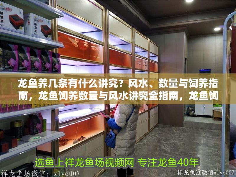 龍魚養幾條有什么講究？風水、數量與飼養指南，龍魚飼養數量與風水講究全指南，龍魚飼養數量與風水講究全指南