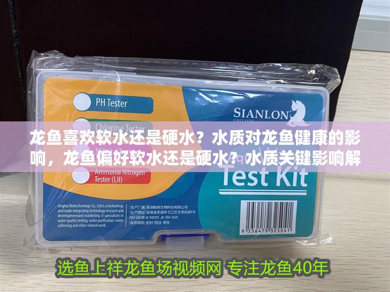 龍魚喜歡軟水還是硬水？水質對龍魚健康的影響，龍魚偏好軟水還是硬水？水質關鍵影響解析，龍魚水質偏好解析，軟水與硬水對健康的關鍵影響