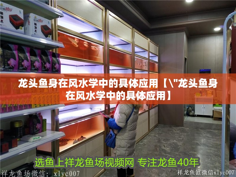 龍頭魚身在風(fēng)水學(xué)中的具體應(yīng)用【 龍頭魚身在風(fēng)水學(xué)中的具體應(yīng)用【\