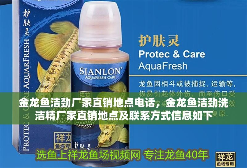 金龍魚潔勁廠家直銷地點電話，金龍魚潔勁洗潔精廠家直銷地點及聯系方式信息如下