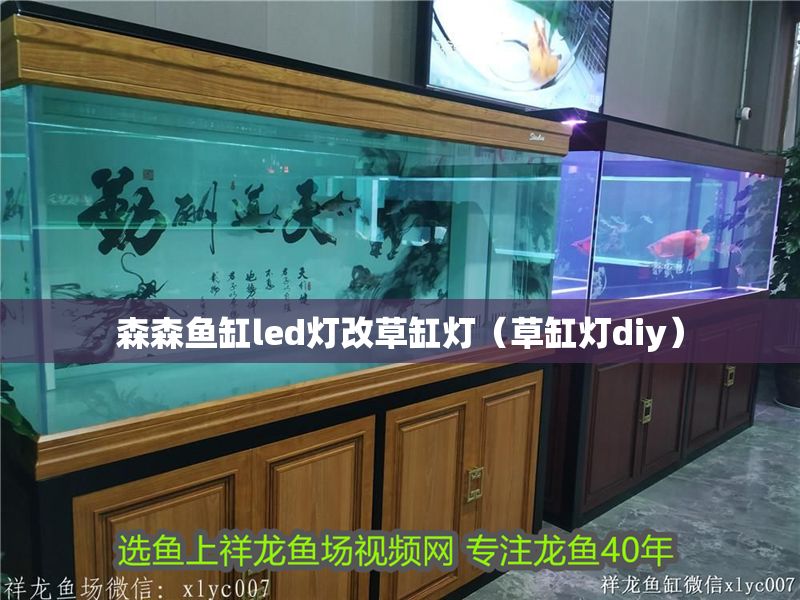 森森魚缸led燈改草缸燈(草缸燈diy) 龍魚百科 第1張 森森魚缸led燈改草缸燈(草缸燈diy) 森森魚缸led燈改草缸燈(草缸燈diy) 龍魚百科 第1張