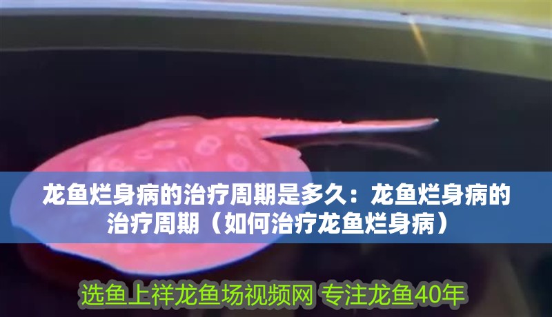 龍魚爛身病的治療周期是多久：龍魚爛身病的治療周期（如何治療龍魚爛身病）