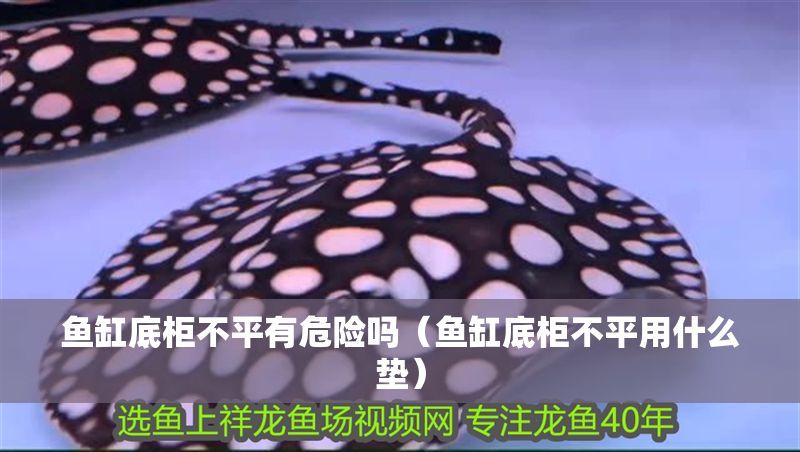 魚缸底柜不平有危險嗎（魚缸底柜不平用什么墊）