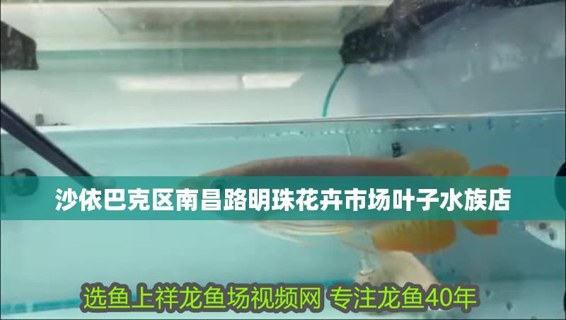 沙依巴克區南昌路明珠花卉市場葉子水族店