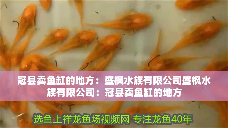 冠縣賣魚缸的地方：盛楓水族有限公司盛楓水族有限公司：冠縣賣魚缸的地方