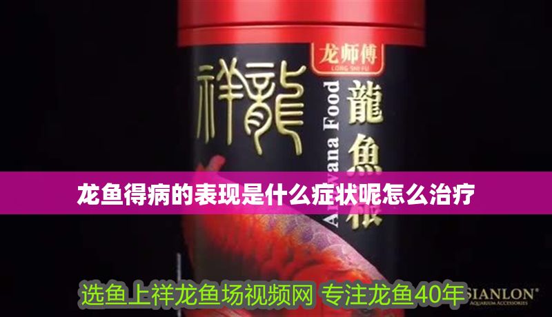 龍魚得病的表現(xiàn)是什么癥狀呢怎么治療