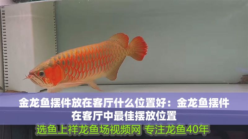 金龍魚擺件放在客廳什么位置好：金龍魚擺件在客廳中最佳擺放位置