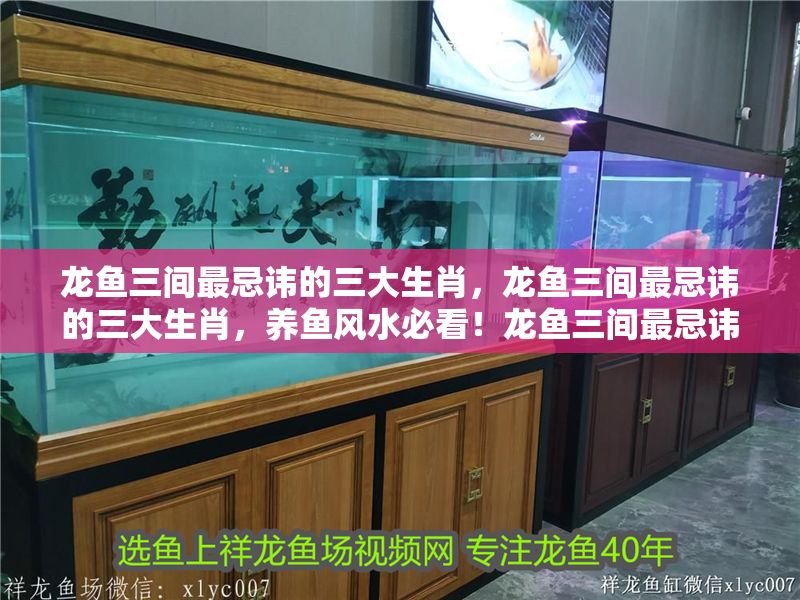 龍魚三間最忌諱的三大生肖，龍魚三間最忌諱的三大生肖，養魚風水必看！龍魚三間最忌諱的三大生肖，養魚風水必看！