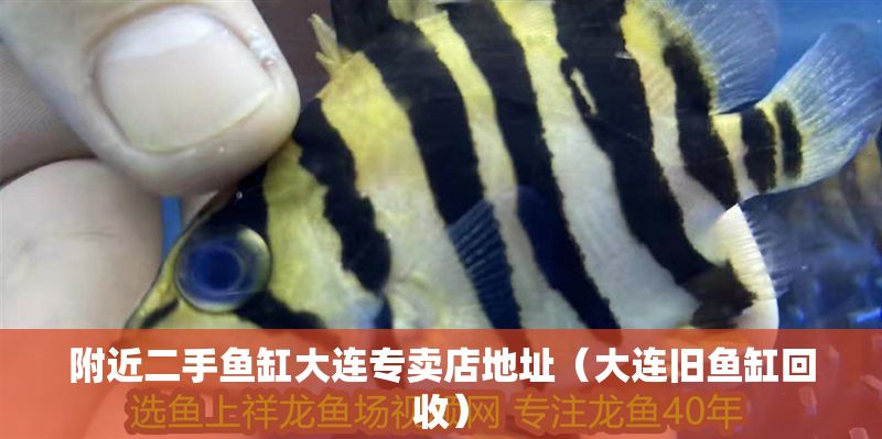 附近二手魚缸大連專賣店地址（大連舊魚缸回收） 附近二手魚缸大連專賣店地址（大連舊魚缸回收） 龍魚百科 第1張
