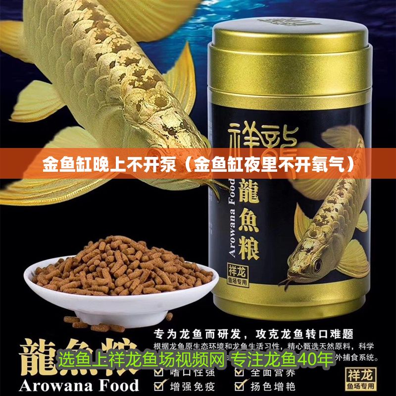 金魚缸晚上不開泵(金魚缸夜里不開氧氣) 龍魚百科 第1張 金魚缸晚上不開泵(金魚缸夜里不開氧氣) 金魚缸晚上不開泵(金魚缸夜里不開氧氣) 龍魚百科 第1張