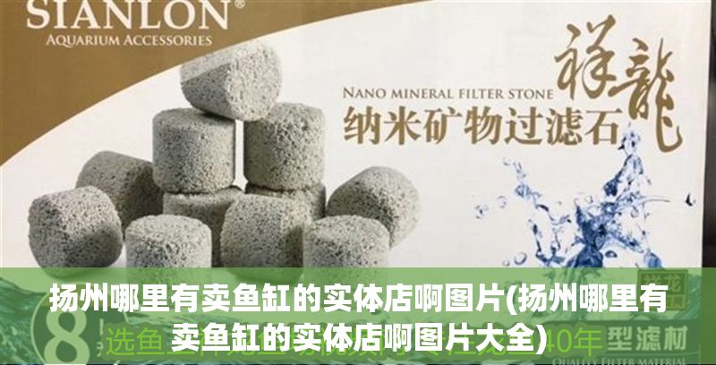 揚州哪里有賣魚缸的實體店啊圖片(揚州哪里有賣魚缸的實體店啊圖片大全)