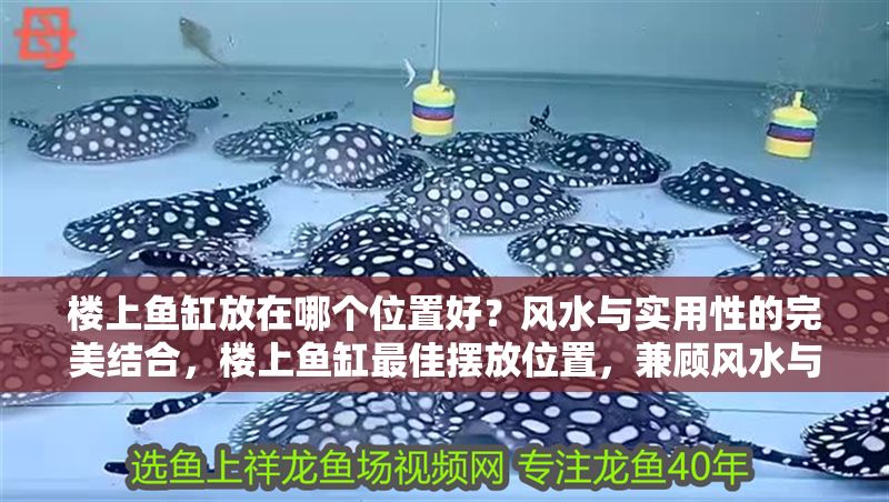 樓上魚缸放在哪個位置好？風水與實用性的完美結合，樓上魚缸最佳擺放位置，兼顧風水與實用性的全面指南，樓上魚缸最佳擺放位置，風水與實用性的完美指南