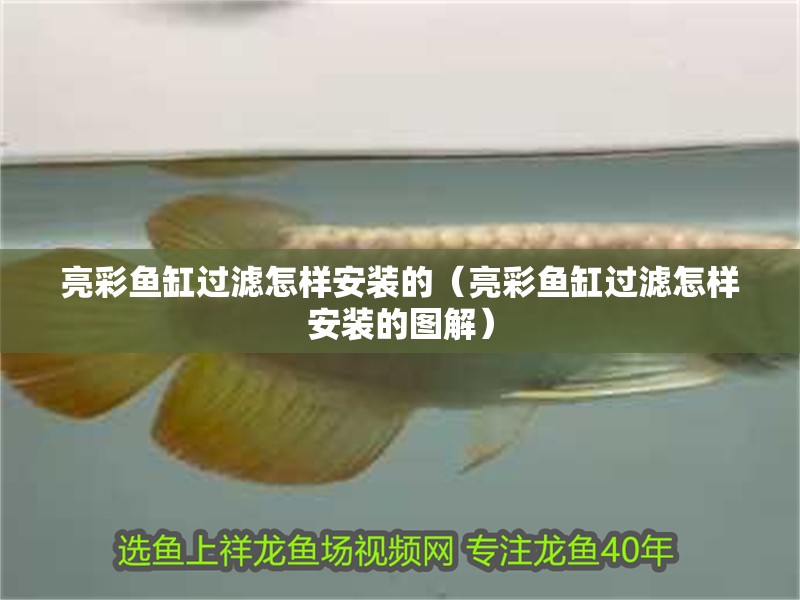 亮彩魚缸過濾怎樣安裝的（亮彩魚缸過濾怎樣安裝的圖解） 亮彩魚缸過濾怎樣安裝的（亮彩魚缸過濾怎樣安裝的圖解） 觀賞魚百科