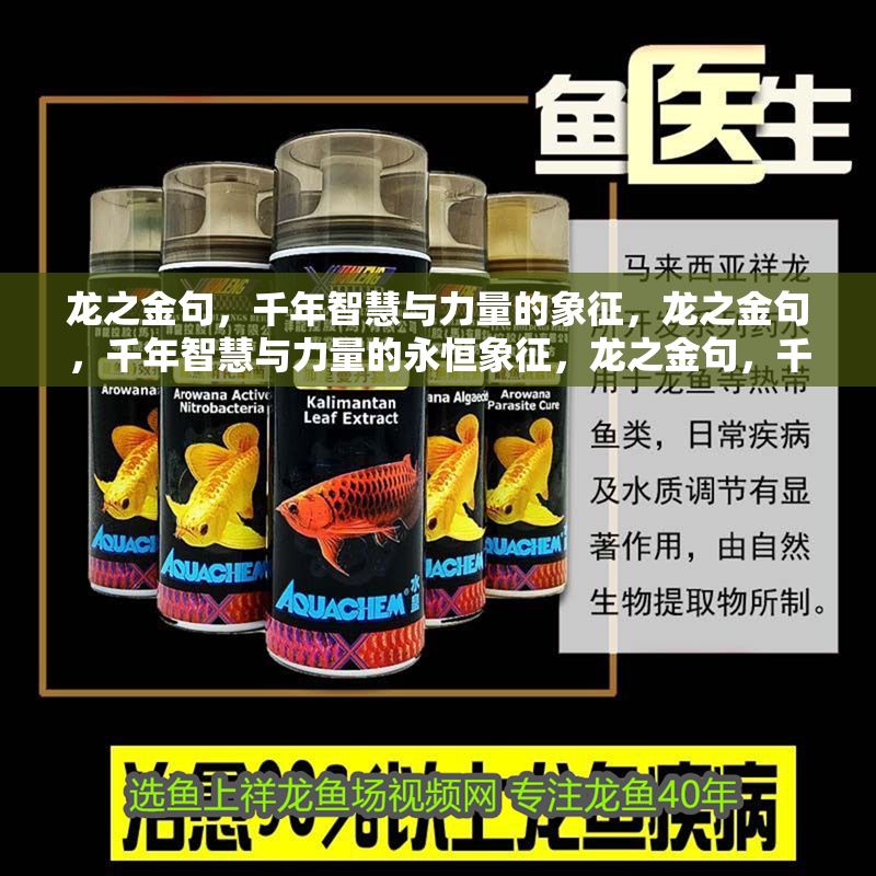 龍之金句，千年智慧與力量的象征，龍之金句，千年智慧與力量的永恒象征，龍之金句，千年智慧與力量的永恒象征
