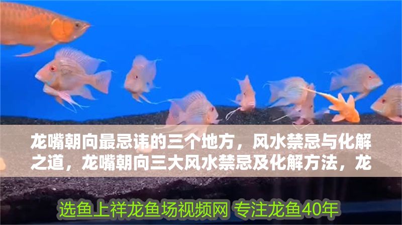 龍嘴朝向最忌諱的三個地方，風(fēng)水禁忌與化解之道，龍嘴朝向三大風(fēng)水禁忌及化解方法，龍嘴朝向三大風(fēng)水禁忌及化解方法