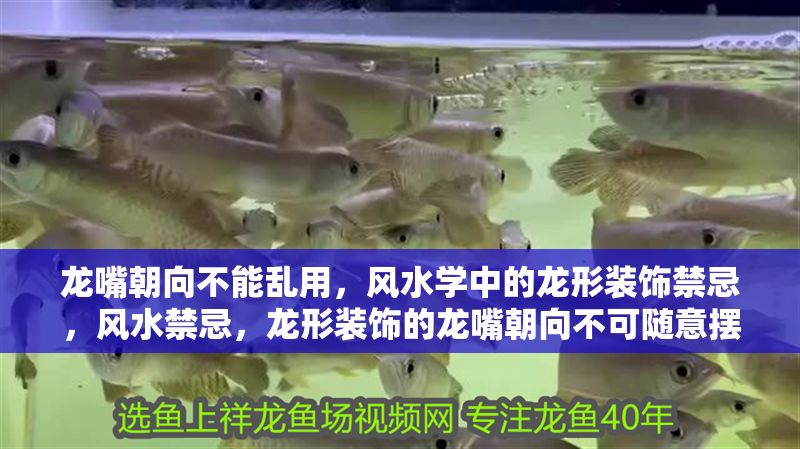 龍嘴朝向不能亂用，風(fēng)水學(xué)中的龍形裝飾禁忌，風(fēng)水禁忌，龍形裝飾的龍嘴朝向不可隨意擺放，風(fēng)水禁忌，龍形裝飾中龍嘴朝向的講究與禁忌