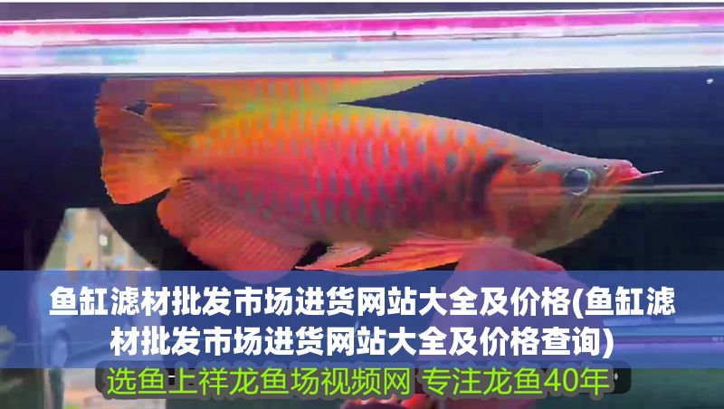 魚缸濾材批發市場進貨網站大全及價格(魚缸濾材批發市場進貨網站大全及價格查詢)