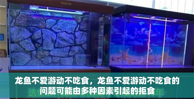 龍魚不愛游動不吃食，龍魚不愛游動不吃食的問題可能由多種因素引起的拒食