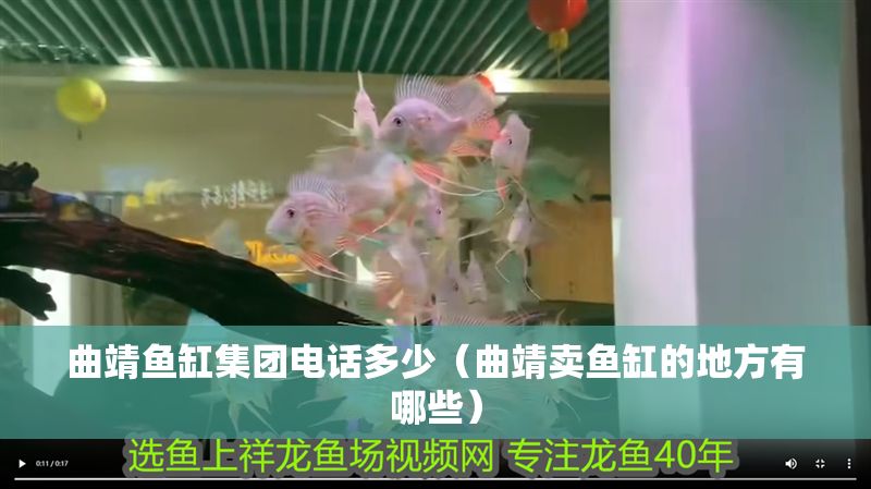 曲靖魚缸集團電話多少（曲靖賣魚缸的地方有哪些） 曲靖魚缸集團電話多少（曲靖賣魚缸的地方有哪些） 龍魚百科 第1張