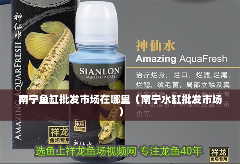 南寧魚缸批發市場在哪里（南寧水缸批發市場）