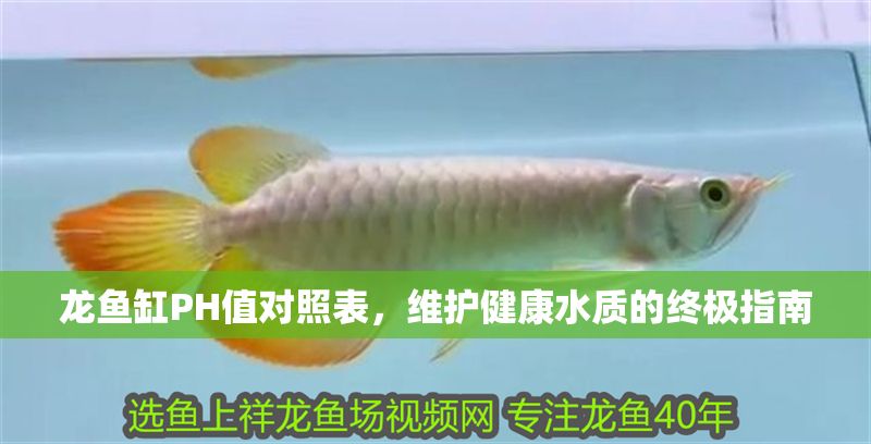 龍魚缸PH值對照表，維護健康水質的終極指南 龍魚缸PH值對照表，維護健康水質的終極指南 龍魚百科 第1張