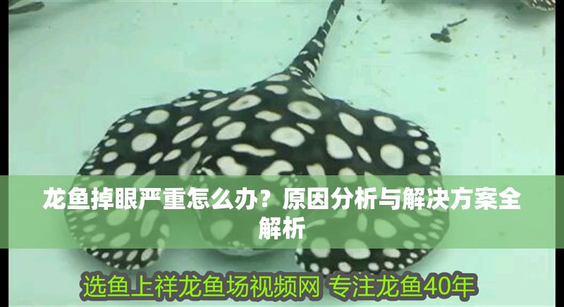 龍魚掉眼嚴重怎么辦？原因分析與解決方案全解析
