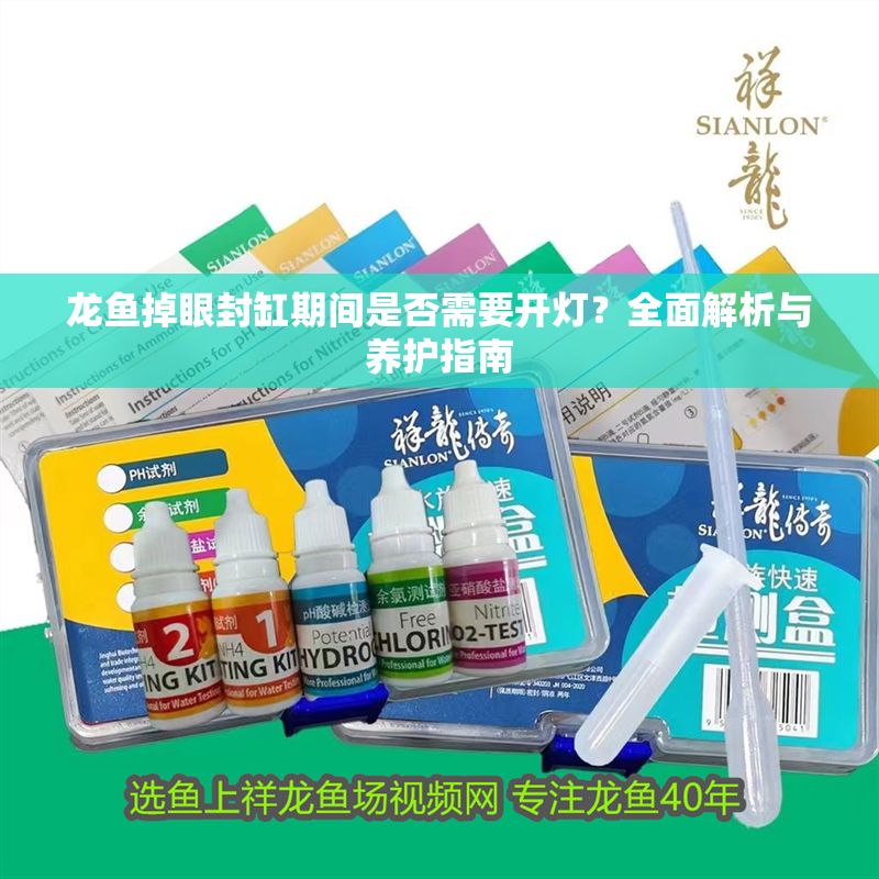 龍魚掉眼封缸期間是否需要開燈？全面解析與養護指南