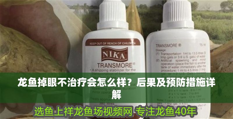 龍魚掉眼不治療會怎么樣?后果及預防措施詳解 龍魚百科 第1張 龍魚掉眼不治療會怎么樣?后果及預防措施詳解 龍魚掉眼不治療會怎么樣?后果及預防措施詳解 龍魚百科 第1張