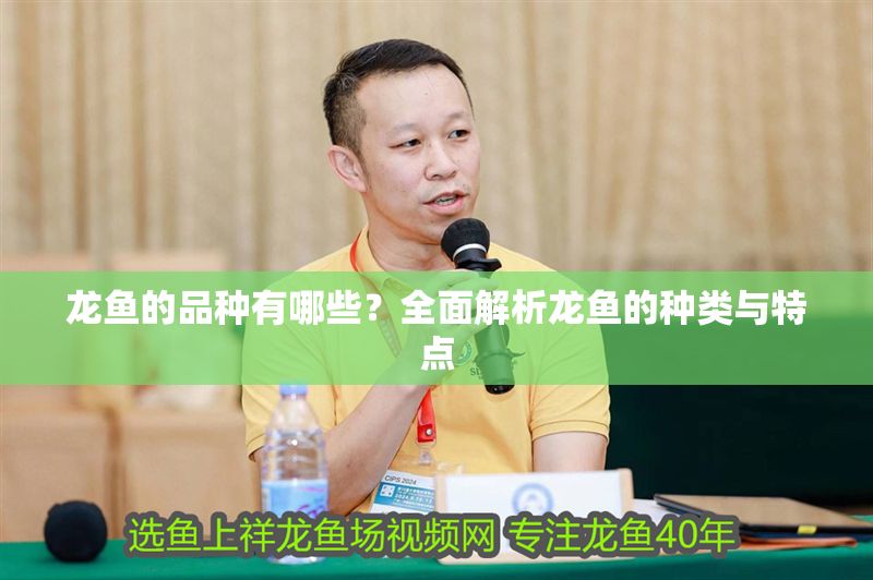 龍魚的品種有哪些？全面解析龍魚的種類與特點 龍魚的品種有哪些？全面解析龍魚的種類與特點 龍魚百科 第1張
