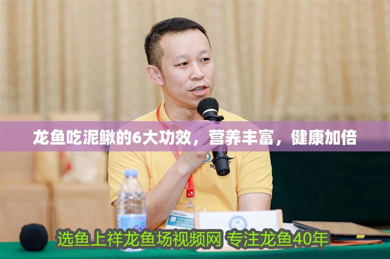 龍魚吃泥鰍的6大功效，營養豐富，健康加倍