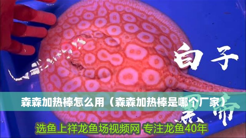 森森加熱棒怎么用（森森加熱棒是哪個廠家）