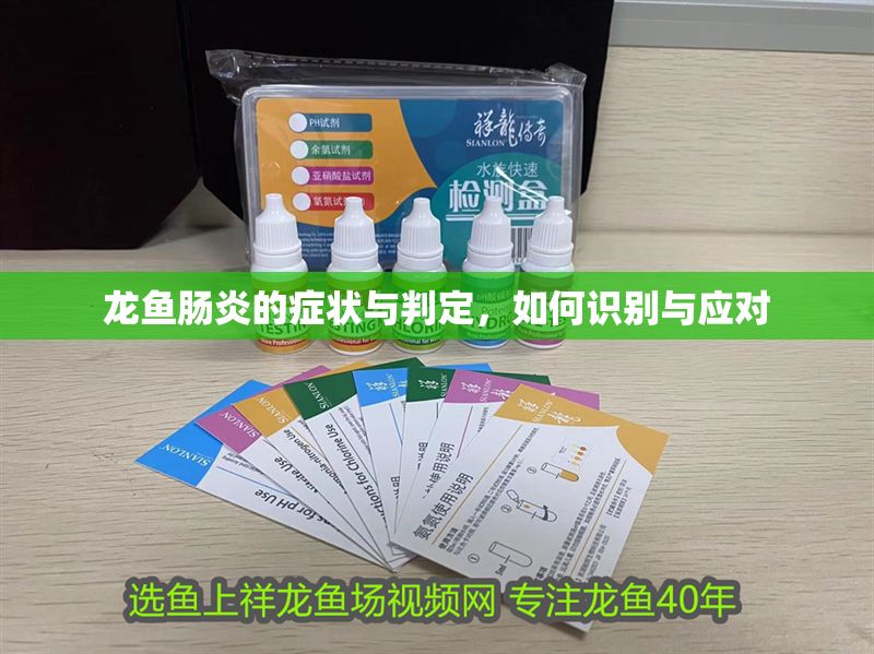 龍魚腸炎的癥狀與判定，如何識別與應對