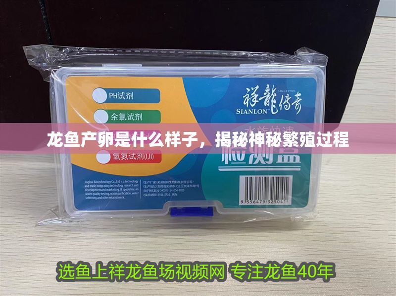 龍魚產卵是什么樣子，揭秘神秘繁殖過程