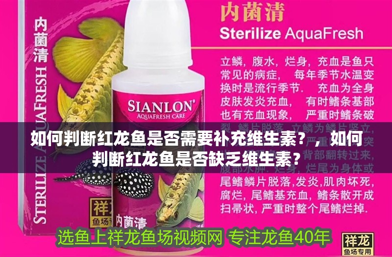 如何判斷紅龍魚是否需要補充維生素？，如何判斷紅龍魚是否缺乏維生素？