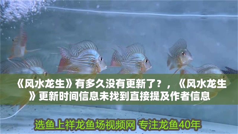 《風(fēng)水龍生》有多久沒有更新了？，《風(fēng)水龍生》更新時間信息未找到直接提及作者信息