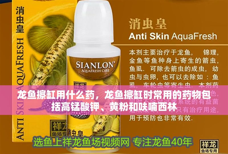 龍魚擦缸用什么藥，龍魚擦缸時常用的藥物包括高錳酸鉀、黃粉和呋喃西林 龍魚擦缸用什么藥，龍魚擦缸時常用的藥物包括高錳酸鉀、黃粉和呋喃西林 龍魚百科 第2張
