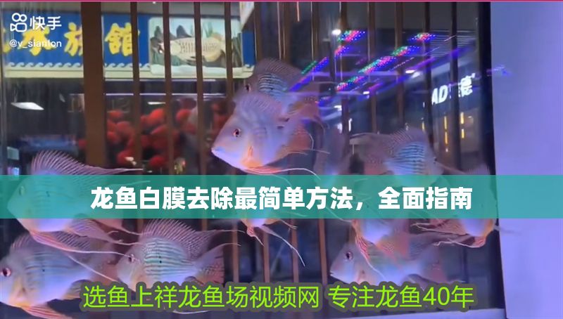 龍魚白膜去除最簡單方法,全面指南 龍魚百科 第1張 龍魚白膜去除最簡單方法,全面指南 龍魚白膜去除最簡單方法,全面指南 龍魚百科 第1張
