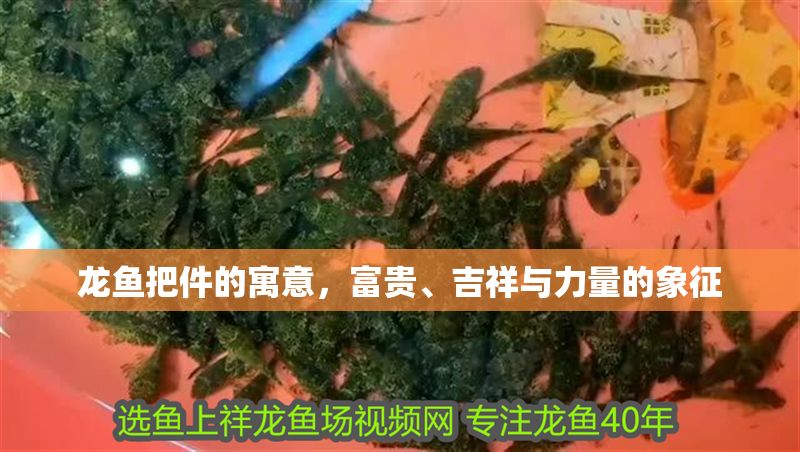 龍魚把件的寓意，富貴、吉祥與力量的象征