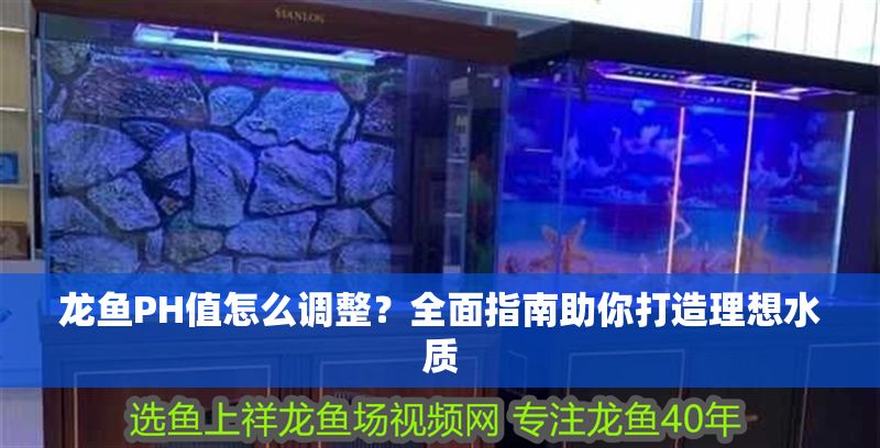 龍魚PH值怎么調整？全面指南助你打造理想水質 龍魚PH值怎么調整？全面指南助你打造理想水質 龍魚百科 第1張