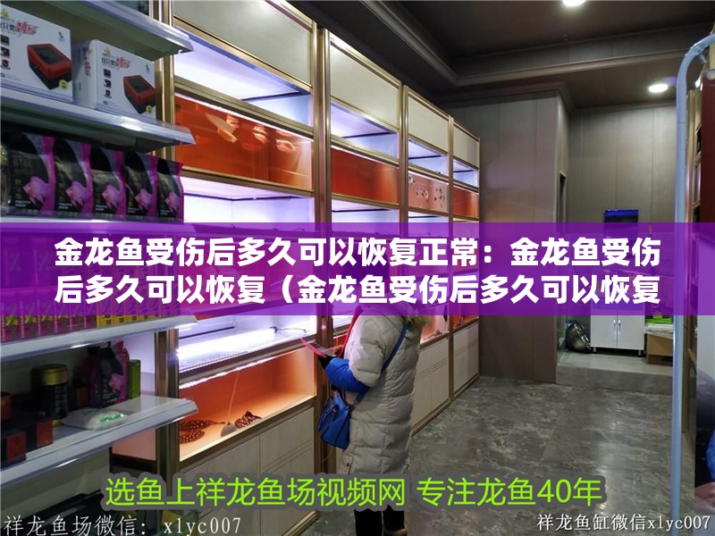 金龍魚(yú)受傷后多久可以恢復(fù)正常：金龍魚(yú)受傷后多久可以恢復(fù)（金龍魚(yú)受傷后多久可以恢復(fù)正常取決于多久可以恢復(fù)正常）