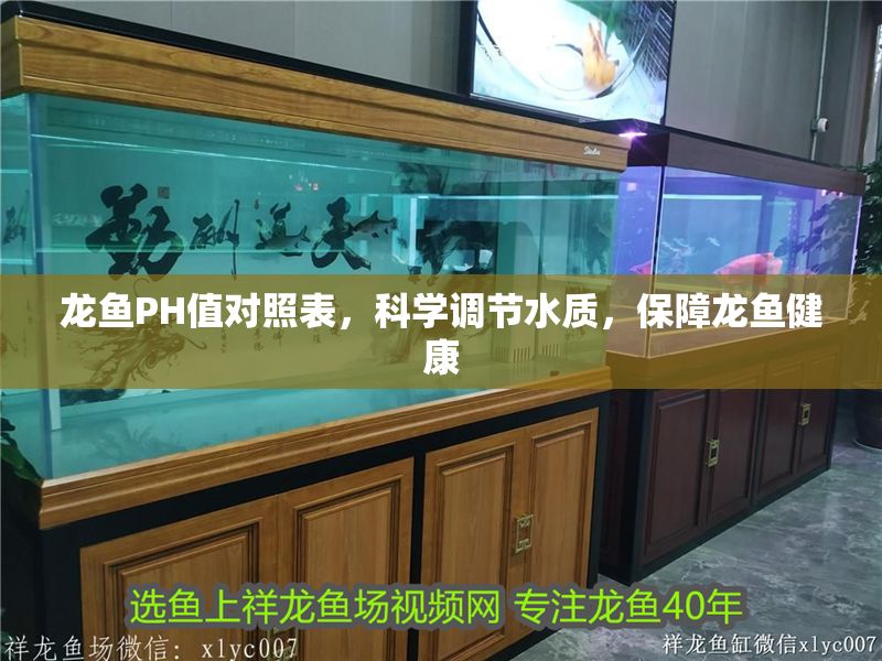 龍魚PH值對照表，科學調節水質，保障龍魚健康 龍魚PH值對照表，科學調節水質，保障龍魚健康 龍魚百科 第1張