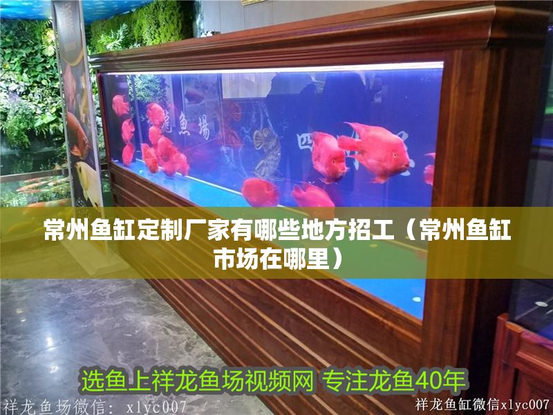 常州魚缸定制廠家有哪些地方招工（常州魚缸市場在哪里） 常州魚缸定制廠家有哪些地方招工（常州魚缸市場在哪里） 龍魚百科 第1張